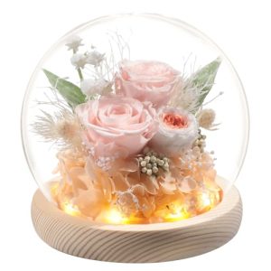 Best Christmas Gifts for Her